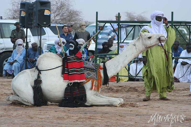 Mud Maps Africa Gaddafi camel party 3483